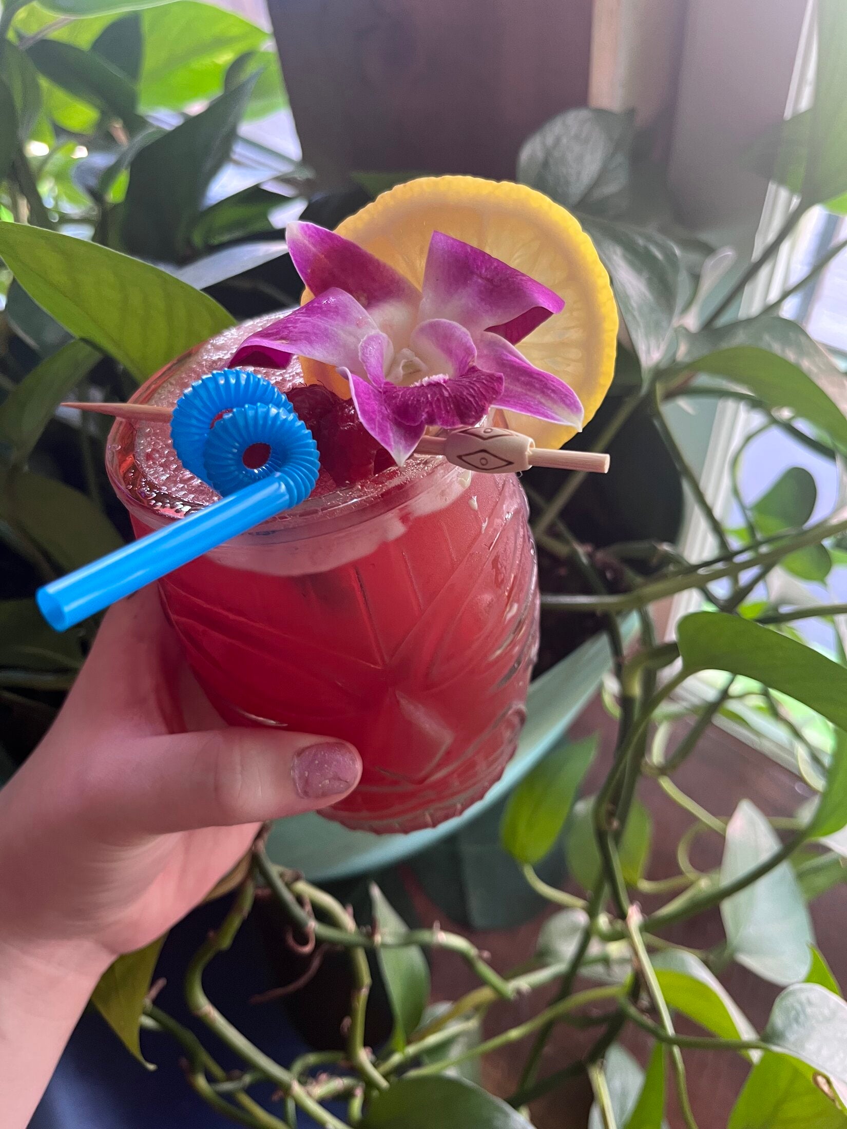 Red tropical drink garnished with a purple orchid and lemon wheel amid green foliage at Elixir Lounge.