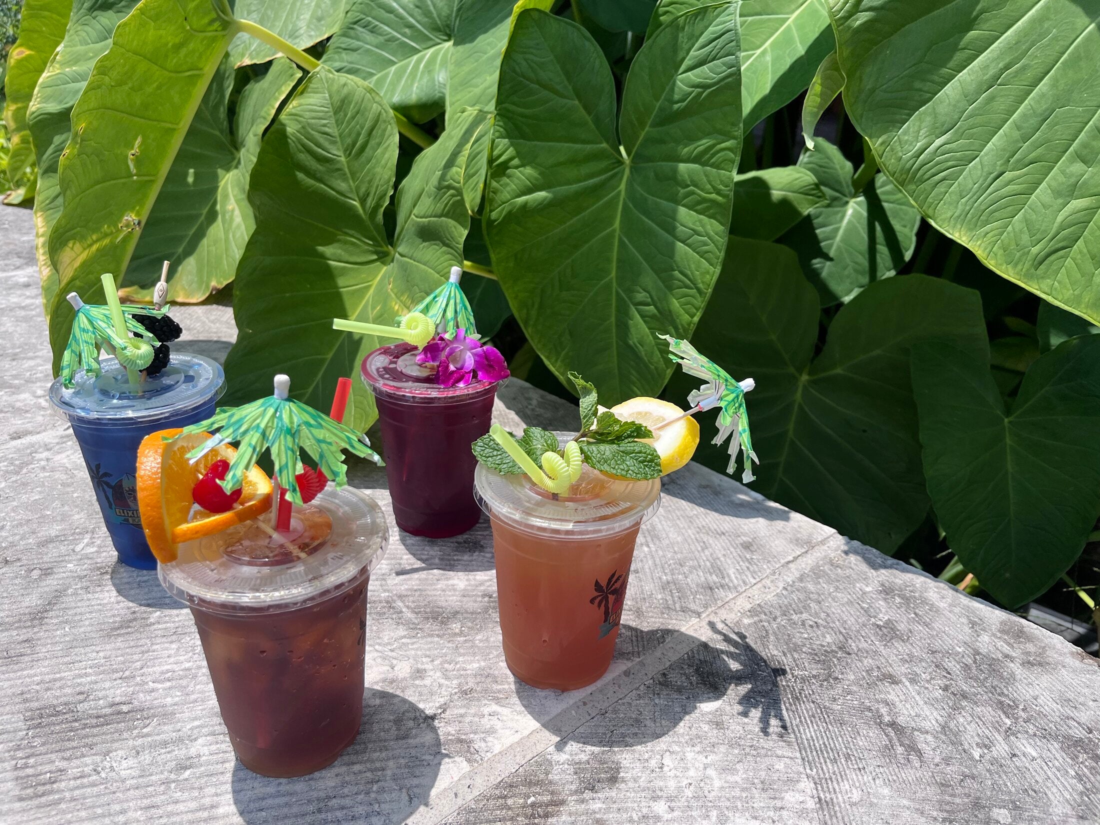 Four colorful Elixir Lounge tropical drinks with umbrellas and fruit garnishes on a patio ledge.