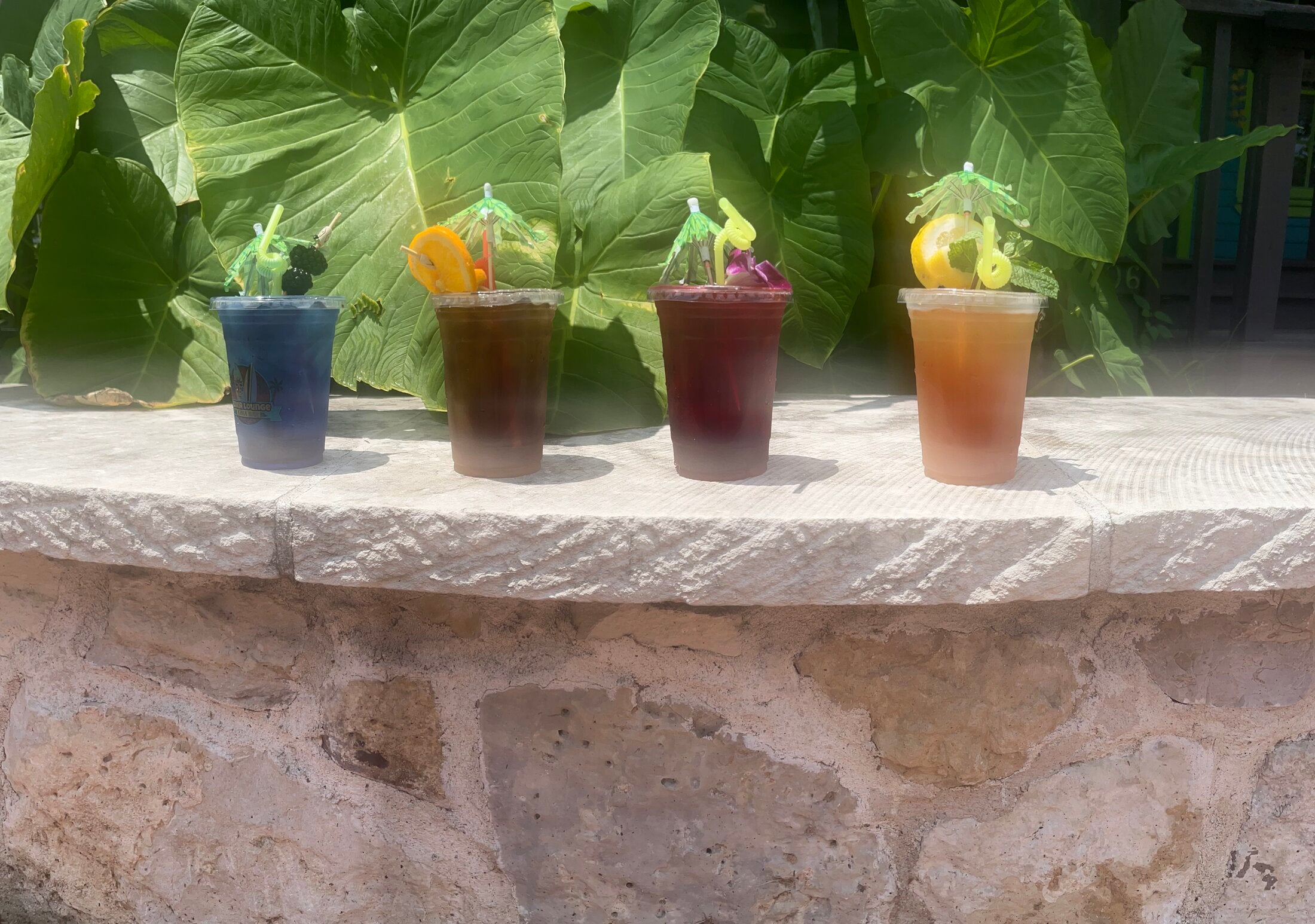 Four garnished Elixir Lounge tropical drinks lined up on a stone wall ledge with tropical plants.